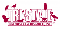 Tri-State Bird Rescue & Research, Inc.